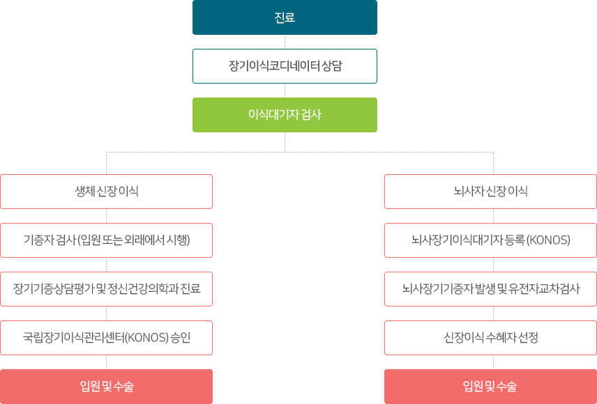 진료 장기이식코디네이터상담 이식대기자 검사 생체 신장 이식 기증자 검사(입원 또는 외래에서 시행) 장기기증상담평가 및 정신건강의학과 진료 국립장기이식관리센터(KONOS) 승인 입원 및 수술 뇌사자 전체 신장이식 뇌사장기이식대기자등록(KONOS) 뇌사장기기증자 발생 및 유전자교차검사 신장이식 수혜자 선정 입원 및 수술